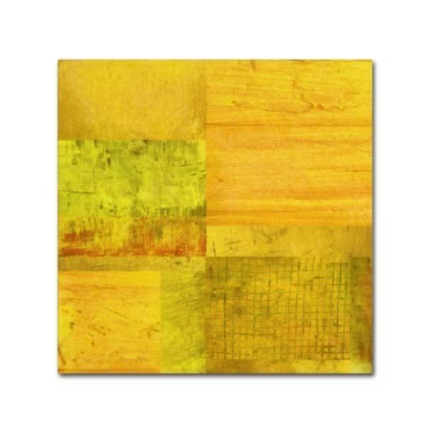 Michelle Calkins 'Essence of Yellow' Canvas Art, 14x14, Trademark Fine Art, Mfr#: MC0225-C1414GG
